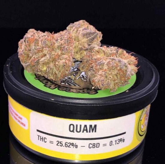 buy quam weed cans