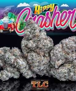 Jungle Boys Hippy Crasher