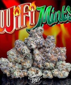 Jungle Boys Weed Packs