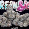 jungle boys creamside