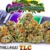 Jungle Boys Grape Topanga