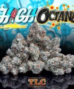 Jungle Boys High Octane