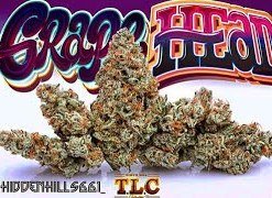 Jungle Boys Grape Head