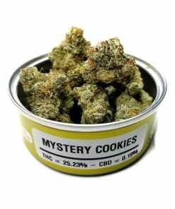 Space Monkey Monkey Sours