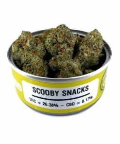 Space Monkey Scooby Snacks