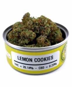 Space Monkey Lemon Cookies