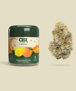 Cannabiotix L’Orange Cannabiotix L’Orange