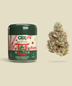 Cannabiotix Master Kush Cannabiotix Master Kush