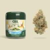 Cannabiotix Tropicanna