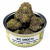 Space Monkey Big Smooth