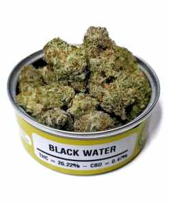 Space Monkey Black Water og Space Monkey Black Water og
