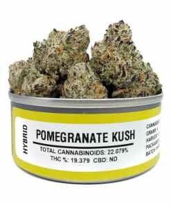 Space Monkey Pomegranate Kush
