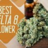 BUY CANNABIS ONLINE