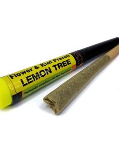 Lemon Tree Space Monkey Meds Lemon Tree Space Monkey Meds