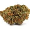 Atomic Jack Strain
