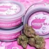 Apricot Gelato SmartBud