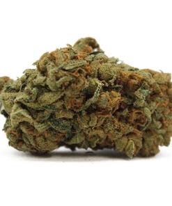 Black Widow Strain Black Widow Strain