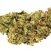 Blue Knight Strain