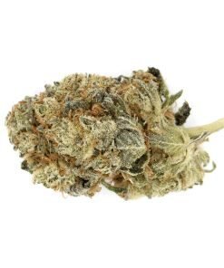 Bruce Banner Strain