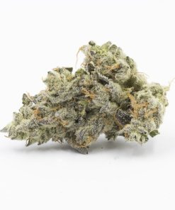 Dark Side Of The Moon Strain Dark Side Of The Moon Strain