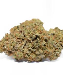 Face Off OG Strain Face Off OG Strain