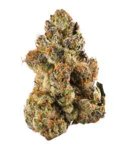 Gelato Strain Gelato Strain