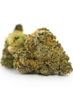Gorilla Glue Strain