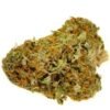 Harlequin Strain