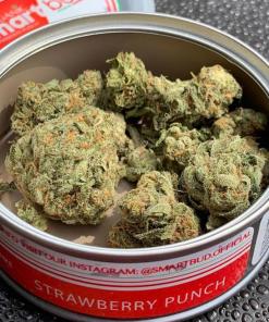 Strawberry Punch SmartBud Strawberry Punch SmartBud