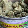 Banana Punch SmartBud