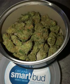 Double Dream SmartBud Double Dream SmartBud