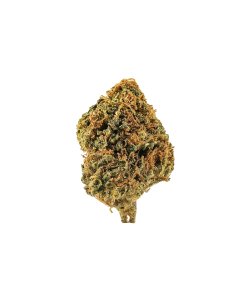 NYC Diesel Strain NYC Diesel Strain