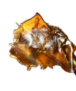 Rosin Rosin