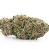 Purple Kush Strain