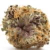 Purple Urkle Strain