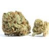 Tahoe OG Kush Strain