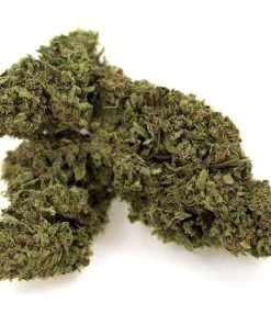 UK Cheese Strain
