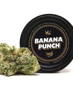 West Coast Cure Banana Punch West Coast Cure Banana Punch