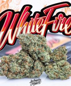 Jungle Boys White Fire Jungle Boys White Fire