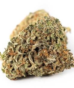 Death Rockstar Strain Death Rockstar Strain