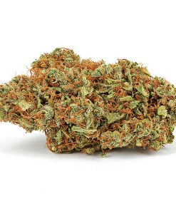God Bud Strain God Bud Strain