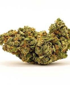 Nebula Strain