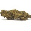 Medibud Strain
