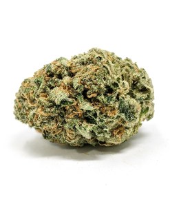 Pre-98 Bubba Kush Strain Pre-98 Bubba Kush Strain