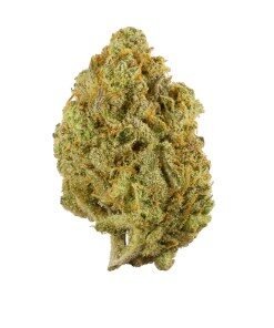 Super Lemon Haze Strain